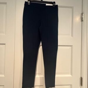 Ann Taylor Skinny-Leg Pants (Blue/Green)